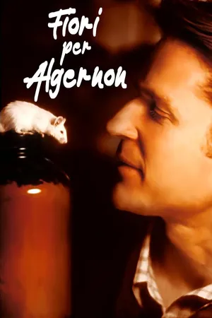 Fiori per Algernon
