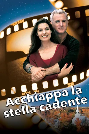Acchiappa la stella cadente