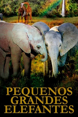 Pequenos Grandes Elefantes
