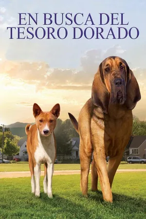 En busca del tesoro dorado