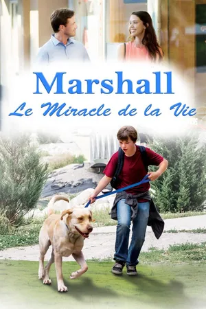 Marshall's Miracle FR