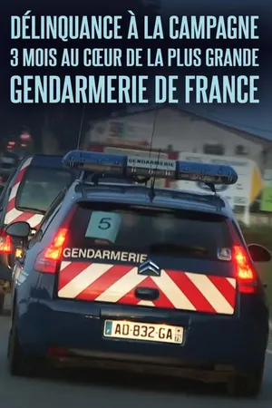 Délinquance à la Campagne : 3 Mois au Cœur de la plus grande Gendarmerie de France