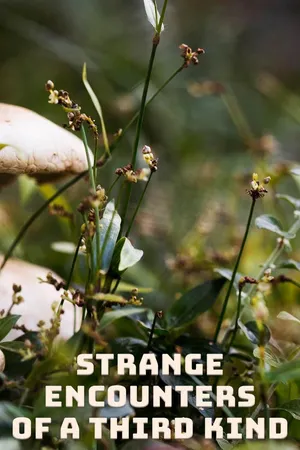 Strange Encounters of a Third Kind