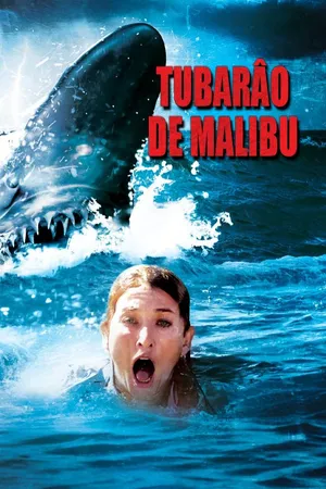 Tubarão De Malibu