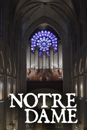 Notre Dame de Paris : Á l'ombre des tours de la cathédrale