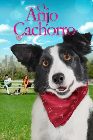 O Anjo Cachorro