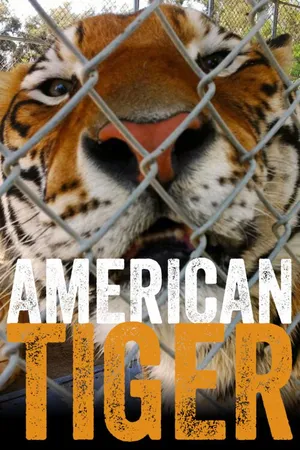 The American Tiger