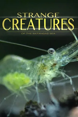 Strange Creatures