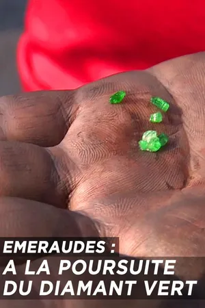 Émeraudes : à la poursuite du diamant vert