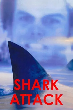 Shark Attack