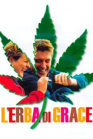 L'Erba Di Grace
