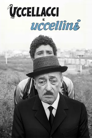 Uccellacci E Uccellini