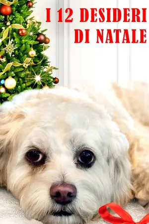 12 Wishes For Christmas