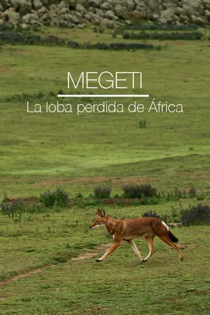 Megeti: La loba perdida de África