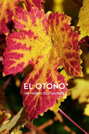 El otoño: Un mundo de colores