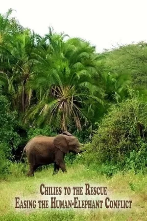Chilies to the Rescue - Easing the Human-Elephant Conflict