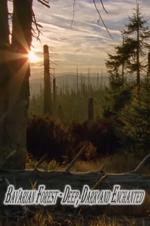 Bavarian Forest - Deep, Dark and Enchanted