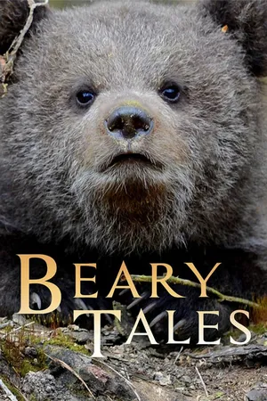 Beary Tales