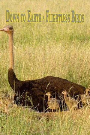 Down to Earth - Flightless Birds