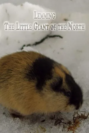 Lemming - The Little Giant of the North