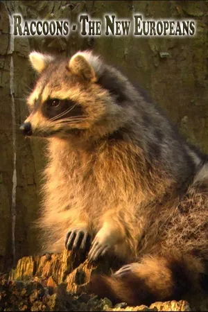 Raccoons - The New Europeans