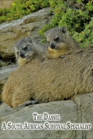 The Dassie - A South African Survival Specialist