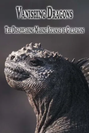 Vanishing Dragons - The Disappearing Marine Iguanas of Galapagos