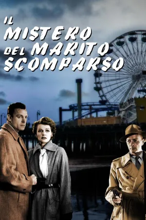 Il mistero del marito scomparso