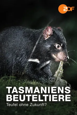 Tasmaniens Beuteltiere - Teufel ohne Zukunft?