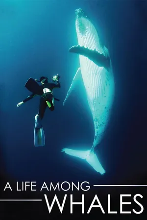 A Life Among Whales