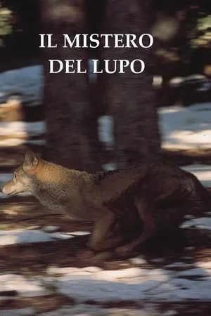 Il mistero del lupo