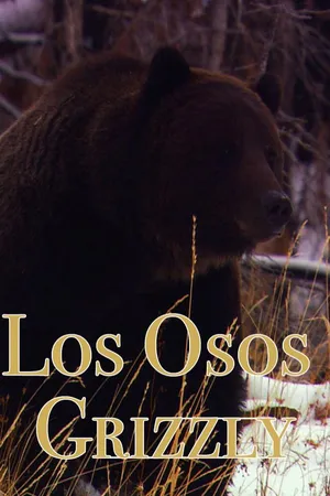 Los Osos Grizzly