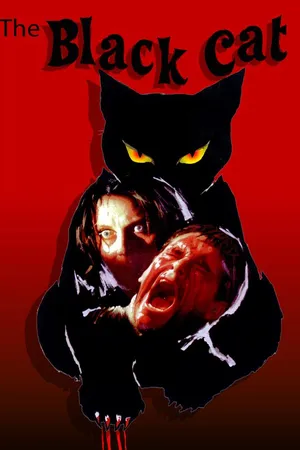The Black Cat