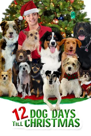 12 días de perros hasta Navidad