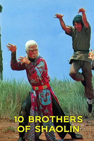 10 Brothers of Shaolin