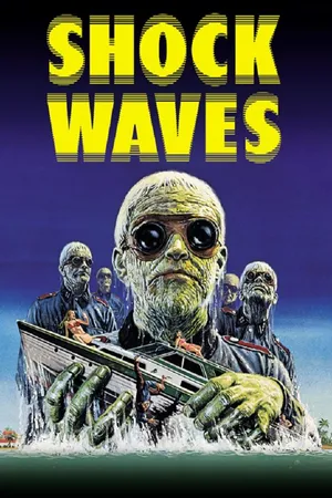 Shock Waves