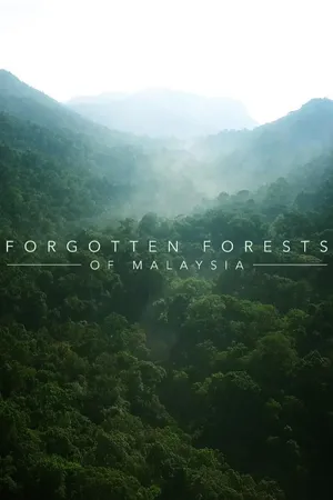A Floresta Esquecida na Malásia