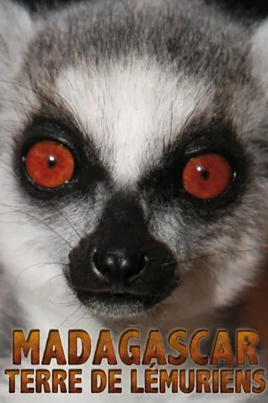 Madagascar, terre de lémuriens