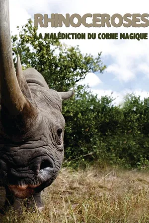 Rhinocéros, la malédiction de la corne magique