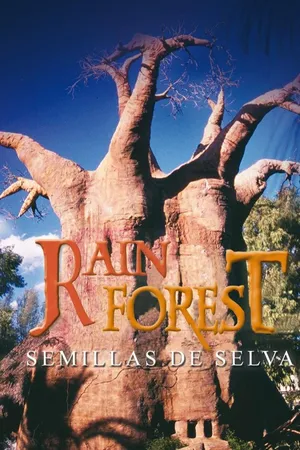 Rain Forest, semillas de selva