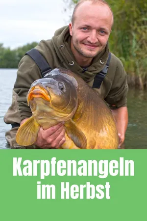 Karpfenangeln im Herbst