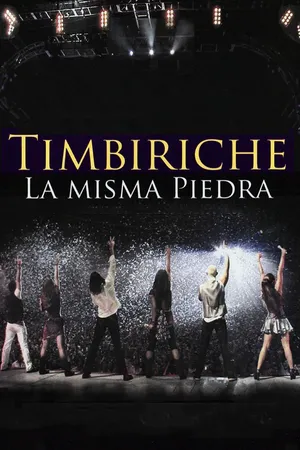 Timbiriche, la misma piedra