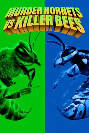 Murder Hornets Vs Killer Bees