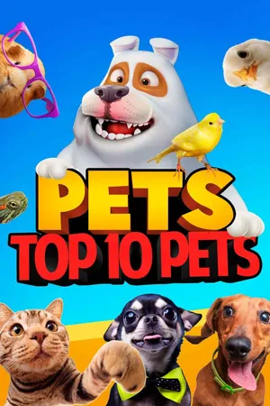 Pets: Top 10 Pets