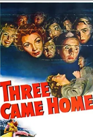 Three Came Home