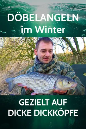 Döbelangeln im Winter. Gezielt auf dicke Dickköpfe