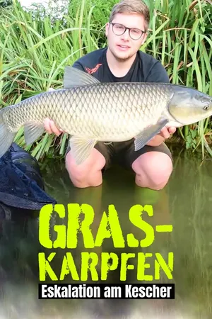Graskarpfen - Eskalation im Kescher