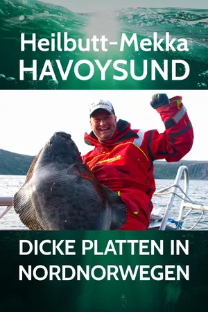 Heilbutt-Mekka Havoysund - dicke Platten in Nordnorwegen