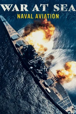 War at Sea: Naval Aviation