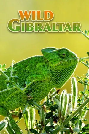 Wild Gibraltar